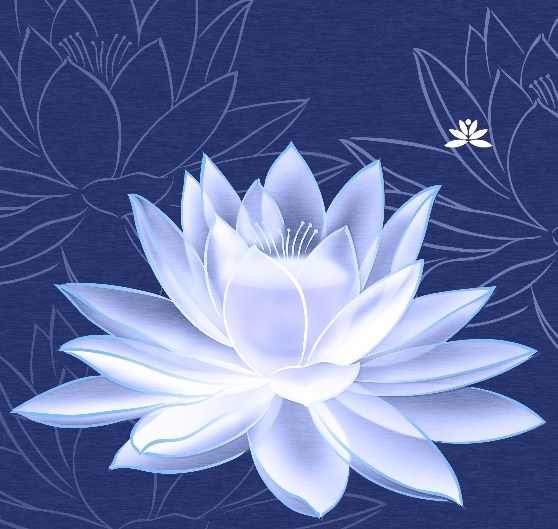 莲花